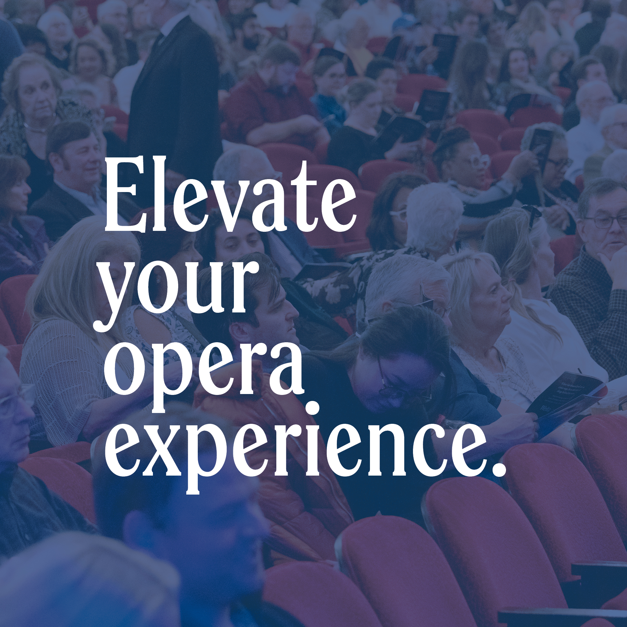 Enjoy even MORE this season with an Elevated Subscription.