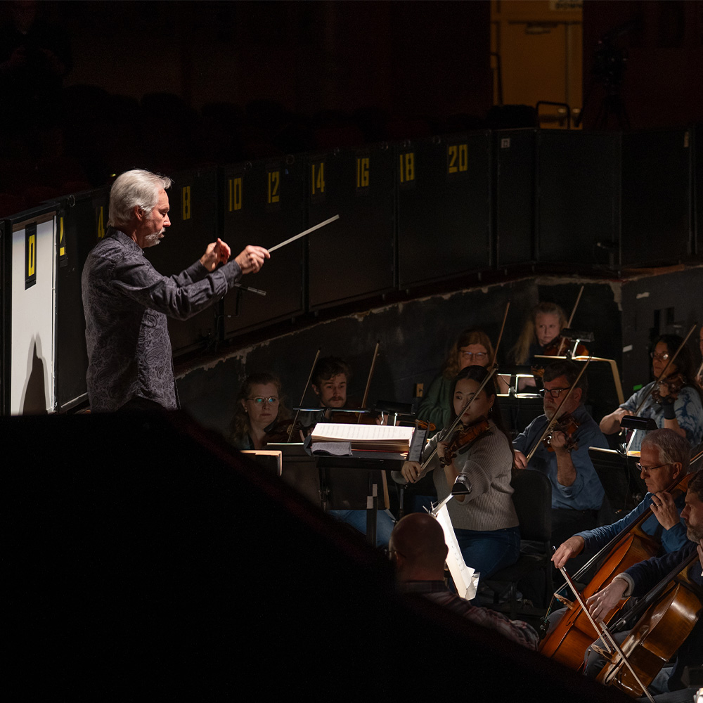 About the Orchestra