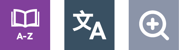 DICTIONARY, TRANSLATION, AND MAGNIFIER